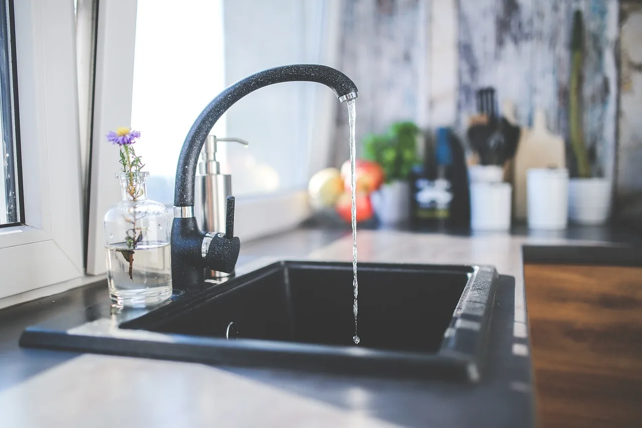tap, black, faucet, nature, kitchen, sink, interior, design, modern, water. Adaptable kitchen products: worth a hands-on trial before you specify