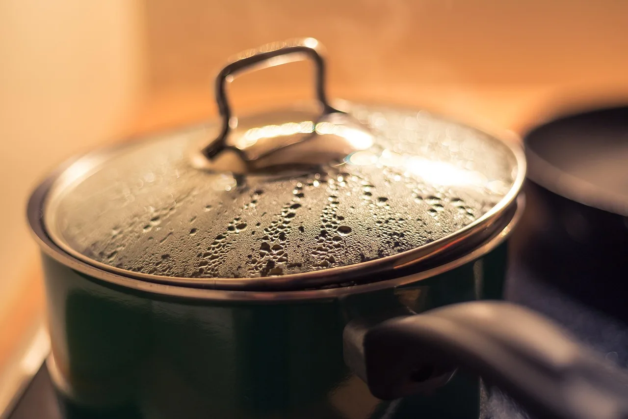 cooking, corona, pot, risotto, steam, pan, home, interior, apartment, inside, indoors, kitchen, stove, küche, kueche, pfanne, kochen, tropfen, droplet, closeup, risotto, risotto, risotto, risotto, risotto. How does climate reshape the choices behind an adaptable kitchen
