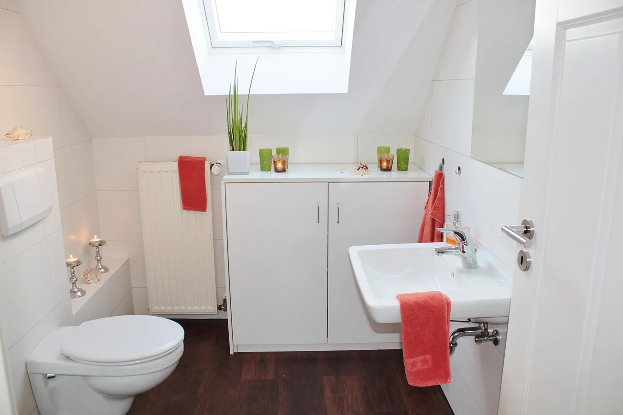 bathroom, bath, toilet, bathroom sink, plumbing, apartment, architecture, setup, set up, deco, tiles, wc, space, interior design, skylight, bright, bathroom, bathroom, bathroom, bathroom, bathroom, toilet, toilet, toilet, toilet, plumbing. How to read a contractor's answers in a universal design interview